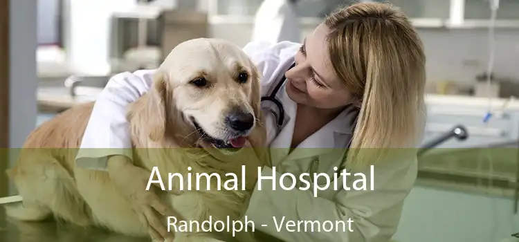 Animal Hospital Randolph - Vermont