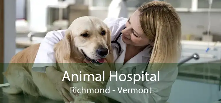 Animal Hospital Richmond - Vermont