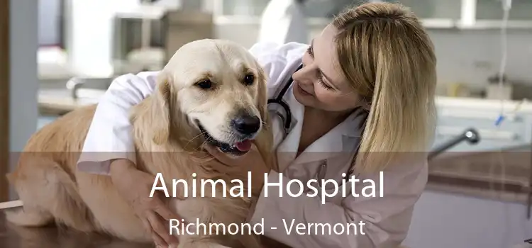 Animal Hospital Richmond - Vermont