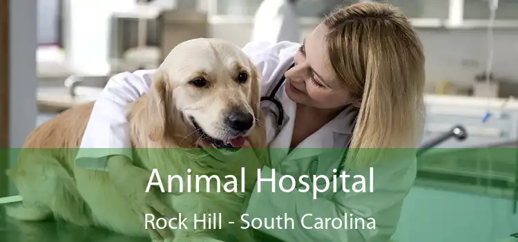 Animal Hospital Rock Hill - South Carolina