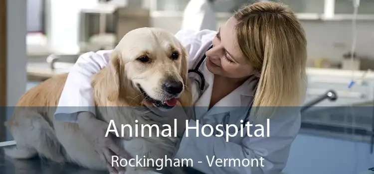 Animal Hospital Rockingham - Vermont