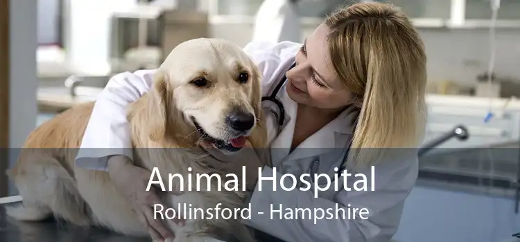 Animal Hospital Rollinsford - Hampshire