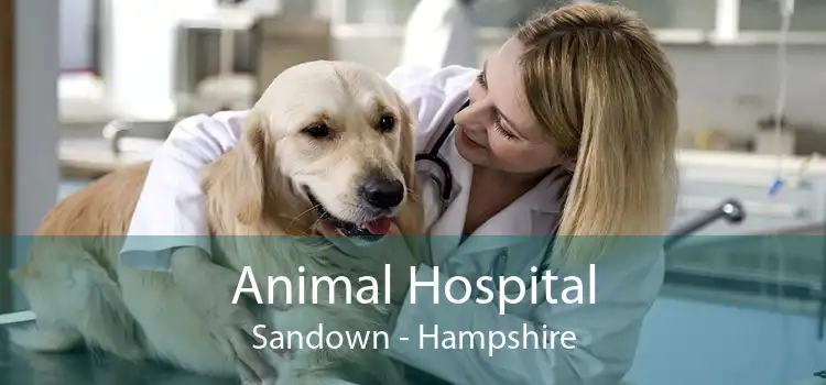 Animal Hospital Sandown - Hampshire