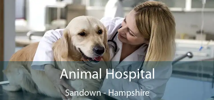 Animal Hospital Sandown - Hampshire