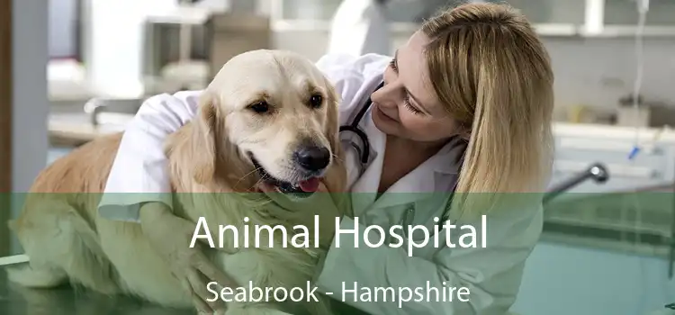 Animal Hospital Seabrook - Hampshire