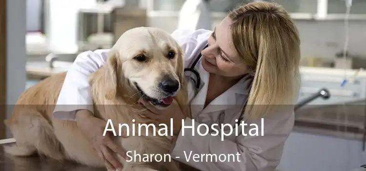 Animal Hospital Sharon - Vermont