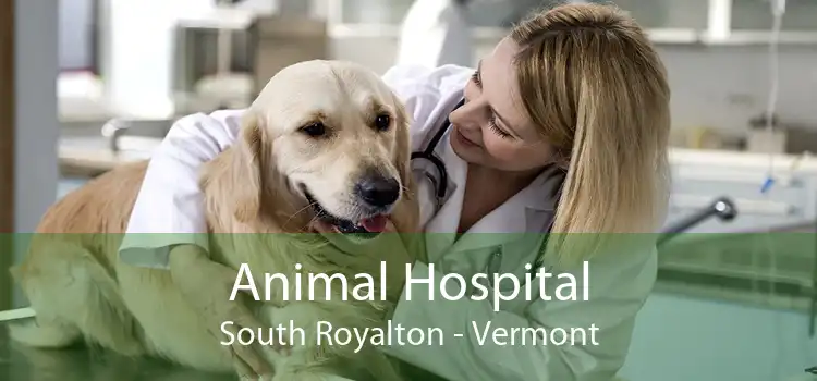 Animal Hospital South Royalton - Vermont