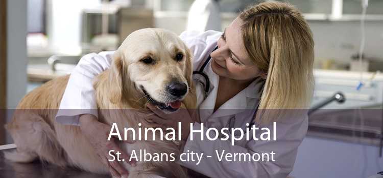 Animal Hospital St. Albans city - Vermont