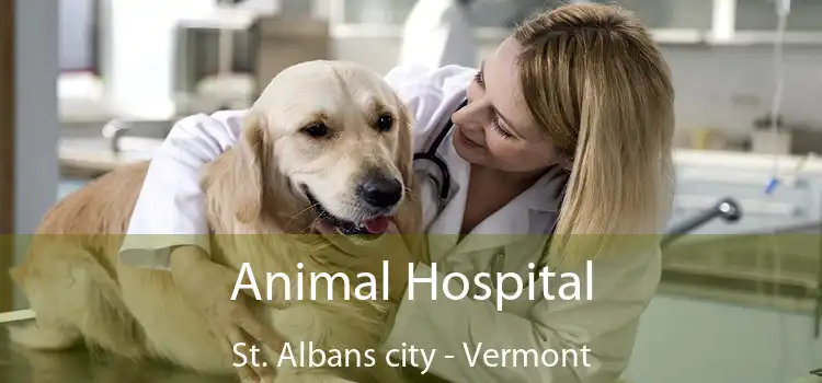 Animal Hospital St. Albans city - Vermont