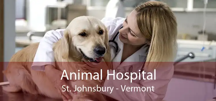 Animal Hospital St. Johnsbury - Vermont