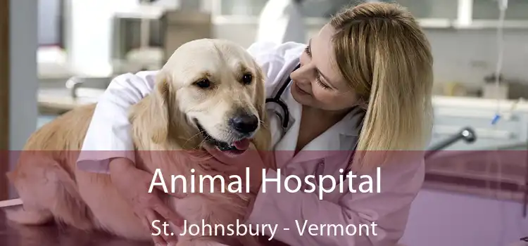 Animal Hospital St. Johnsbury - Vermont