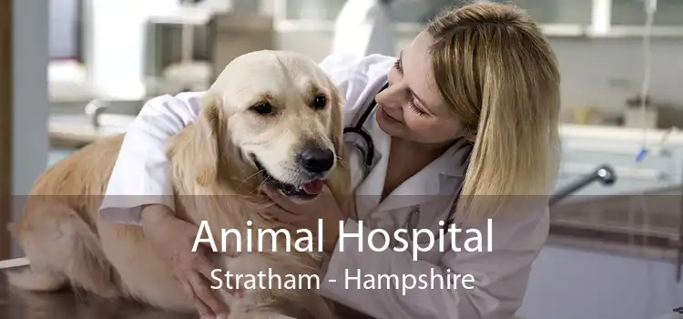 Animal Hospital Stratham - Hampshire