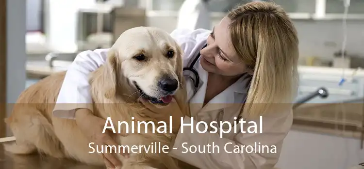 Animal Hospital Summerville - South Carolina