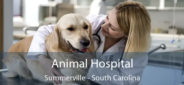 Animal Hospital Summerville - South Carolina