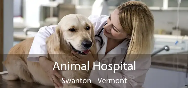 Animal Hospital Swanton - Vermont