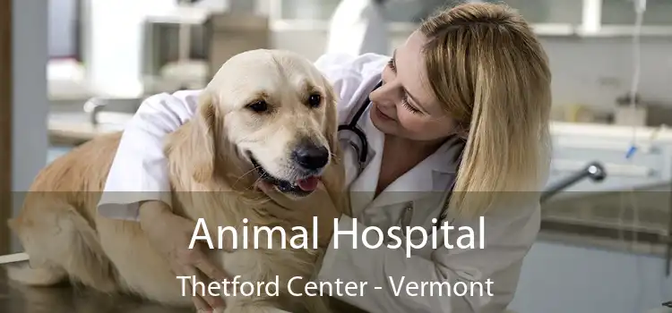 Animal Hospital Thetford Center - Vermont