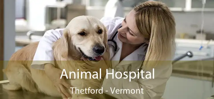 Animal Hospital Thetford - Vermont