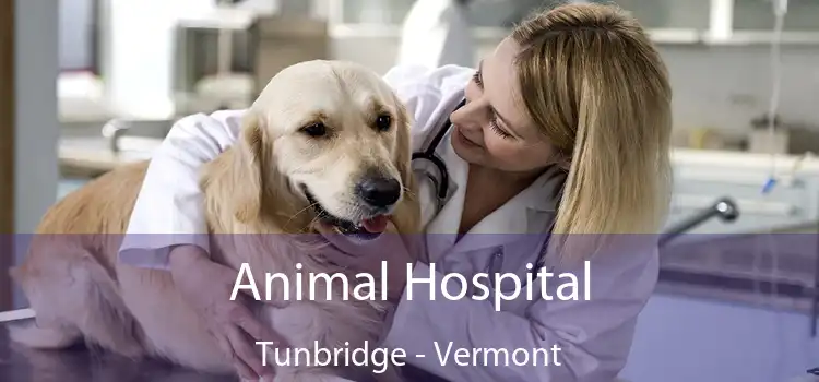 Animal Hospital Tunbridge - Vermont