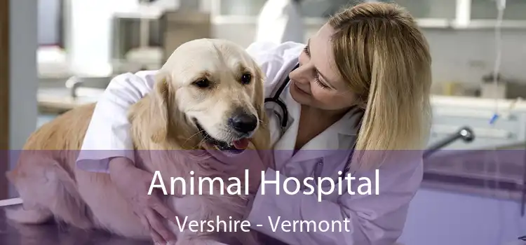 Animal Hospital Vershire - Vermont