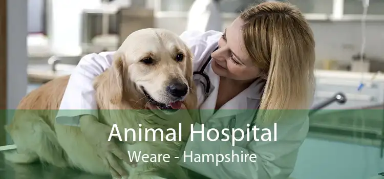 Animal Hospital Weare - Hampshire