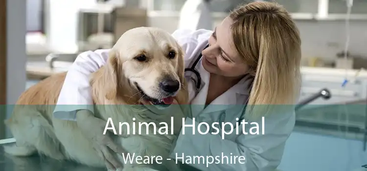 Animal Hospital Weare - Hampshire