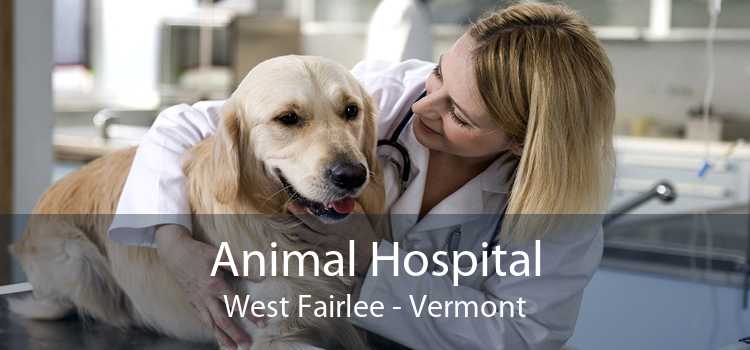 Animal Hospital West Fairlee - Vermont