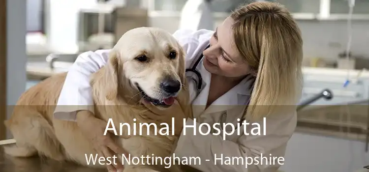 Animal Hospital West Nottingham - Hampshire