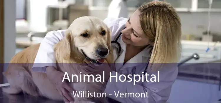 Animal Hospital Williston - Vermont