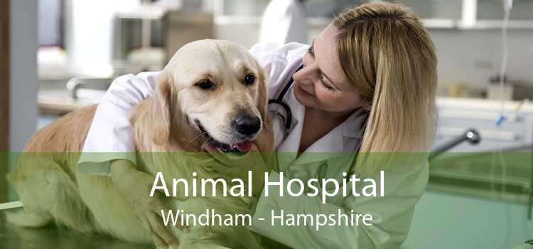 Animal Hospital Windham - Hampshire