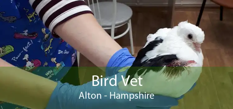 Bird Vet Alton - Hampshire
