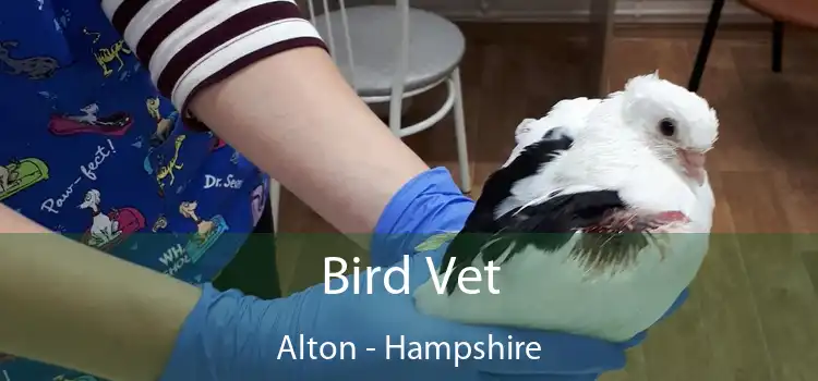 Bird Vet Alton - Hampshire