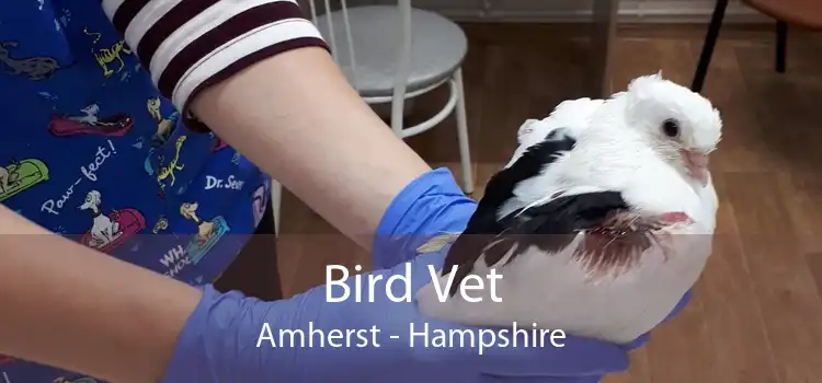 Bird Vet Amherst - Hampshire