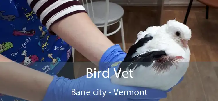 Bird Vet Barre city - Vermont