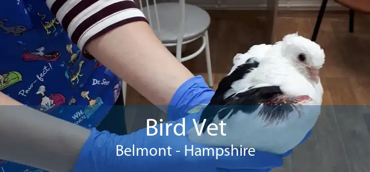 Bird Vet Belmont - Hampshire