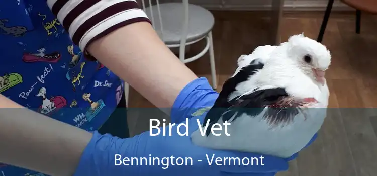 Bird Vet Bennington - Vermont