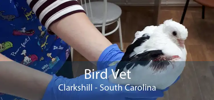 Bird Vet Clarkshill - South Carolina