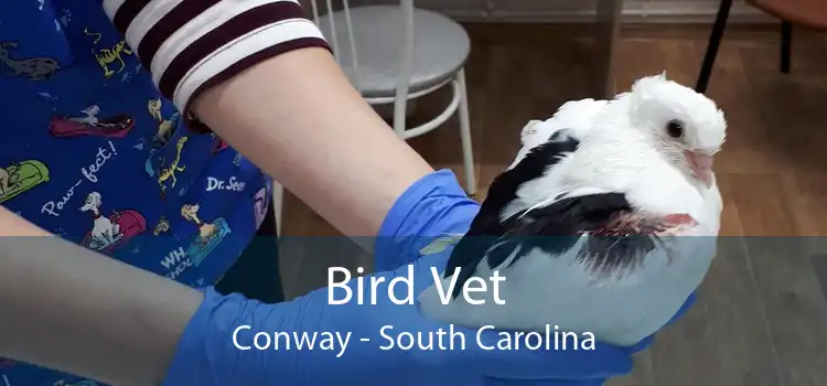 Bird Vet Conway - South Carolina