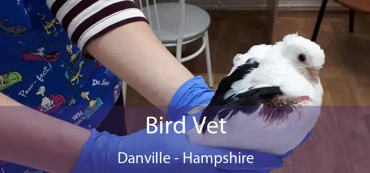 Bird Vet Danville - Hampshire