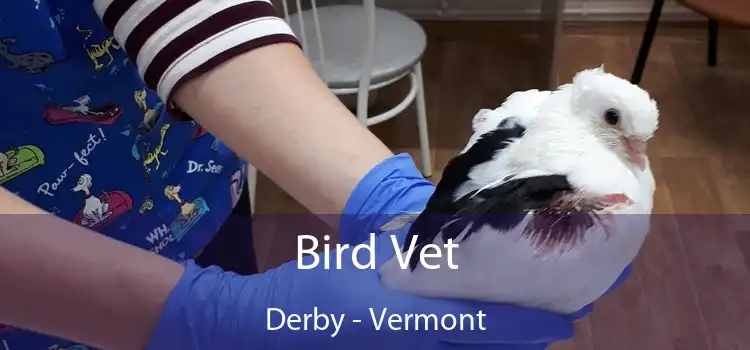 Bird Vet Derby - Vermont