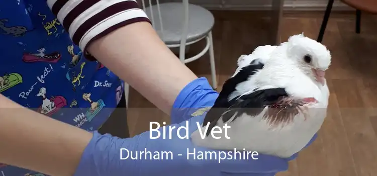 Bird Vet Durham - Hampshire