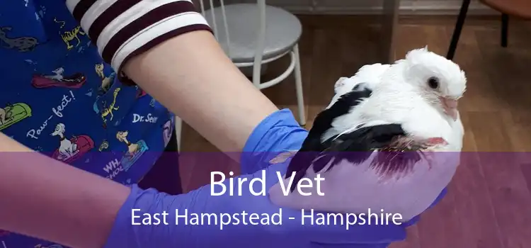 Bird Vet East Hampstead - Hampshire