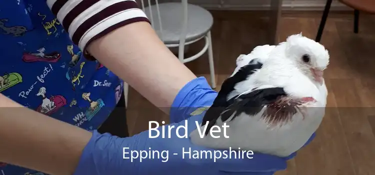 Bird Vet Epping - Hampshire