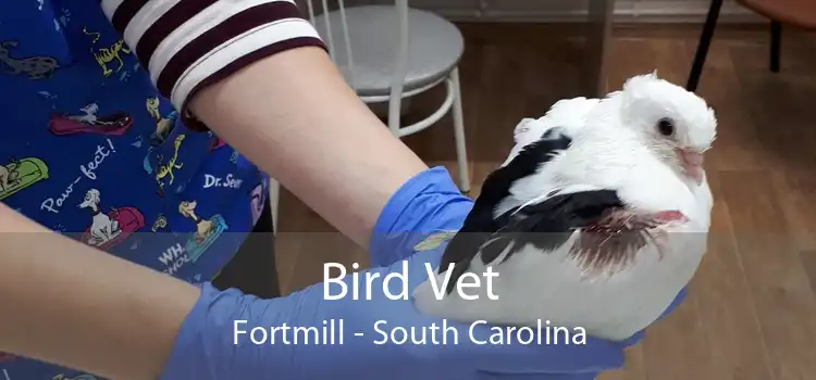Bird Vet Fortmill - South Carolina