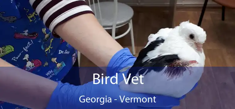 Bird Vet Georgia - Vermont