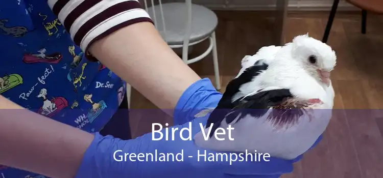 Bird Vet Greenland - Hampshire