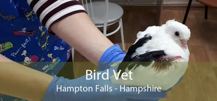 Bird Vet Hampton Falls - Hampshire