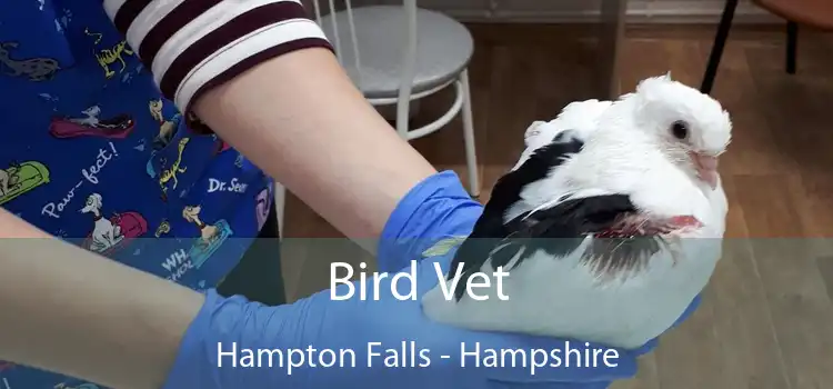 Bird Vet Hampton Falls - Hampshire