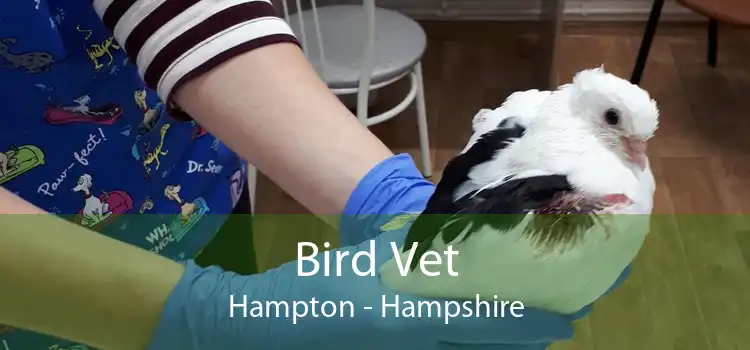 Bird Vet Hampton - Hampshire
