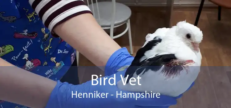 Bird Vet Henniker - Hampshire