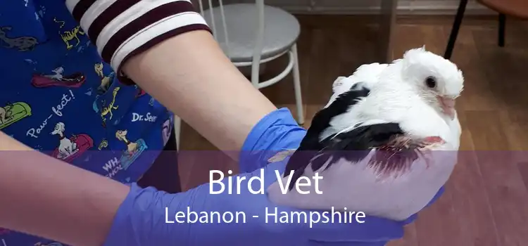 Bird Vet Lebanon - Hampshire